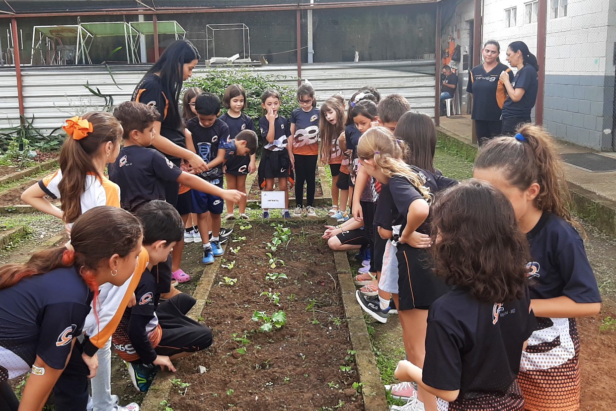 Horta e Sustentabilidade