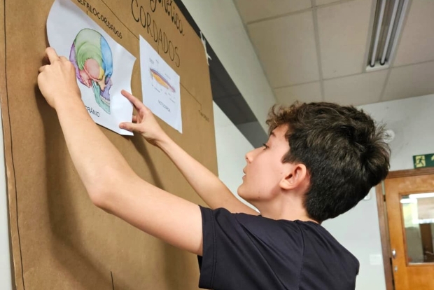 Turmas do 7º ano fazem Árvore Evolutiva dos Cordados